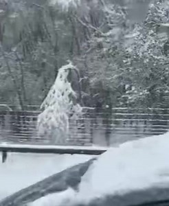 369K views · 2.1K reactions |  LA NEIGE TOMBE À GROS FLOCONS ! ÉNORME PAGAILLE SUR L’AUTOROUTE A75 ! ❄️ Téléchargez notre nouvelle application ! Elle est disponible sur Android et iOS dès à présent. Pensez à activer les notifications pour être informés de la météo en temps réel. Cliquez ici pour la télécharger ➡️ https://urlz.fr/jWKp  Vidéo : Cédric Grelon - via Utilisateurs de l’A75 | InfOccitanie | Facebook