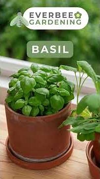 Keep Foxes Out of Your Garden with These Plants 🦊 | Everbee Gardening