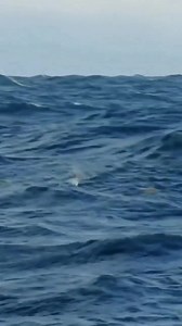 7.2K views · 211 reactions | Learn More On 4biddenknowledge.com | Billy Carson | Facebook