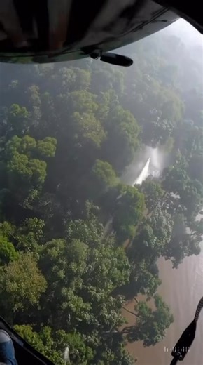 Amazing Giant Emerges from Amazon Forest! You Won’t 1 Believe This! #AmazonSerpent #GiantSnake #MysteriousCreature #JungleMystery #CryptidSightings #ViralShorts | La Mauvaise Place