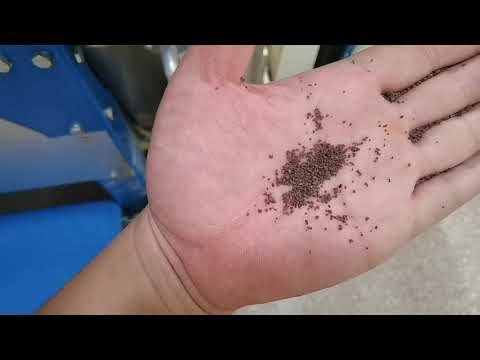 2025 Uganda Chia Seed Cleaning Plant