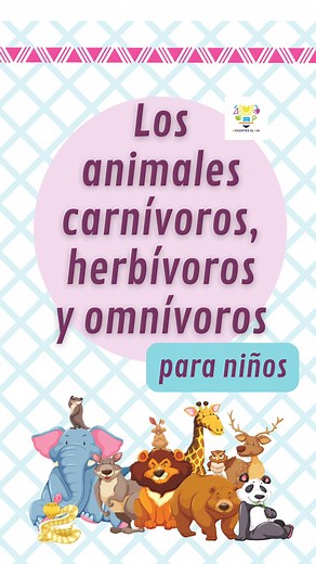 Animales carnívoros, herbívoros y omnívoros para niños | Docentes al día