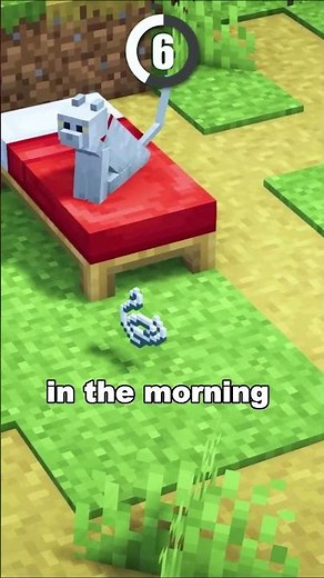 Cat Loot Secrets in Minecraft! 🐱