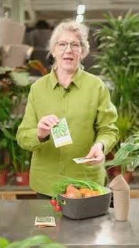 Agurkai lauke - ką auginti?