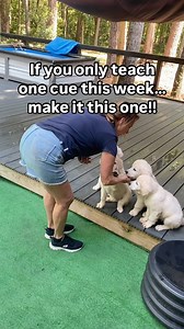 30K views · 860 reactions | Teaching your puppy to give their paw...