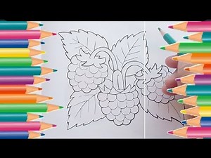 Raspberry drawing easy |How to drawRaspberry step by step |Fruits drawingvideos tutorials