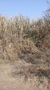 #MORULA SUN DAM IN MABOPANE | Les Mpete