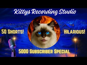 Top 50 Funny YouTube Shorts That Will Make You Laugh Nonstop 😂