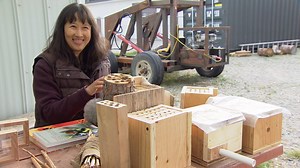 More than 30 wooden bee houses were built this week at the YuKonstruct maker-space in Whitehorse. Biologist Maria Leung says the houses will be installed near Yukon berry patches as part her research on pollination. (Video: Philippe Morin) More: www.cbc.ca/1.3587772 | CBC Yukon