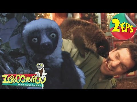 Night time + Climbing | Zoboomafoo - Double Feature | Full Episodes 09 + 10