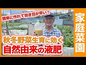 【家庭菜園】家庭菜園でも作れる液肥の作り方をご紹介