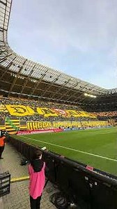Dynamo Dresden | Wende Choreo vom KBlock gegen Düsseldorf 🖤💛👍 #dynamodresden #1953 #sgd