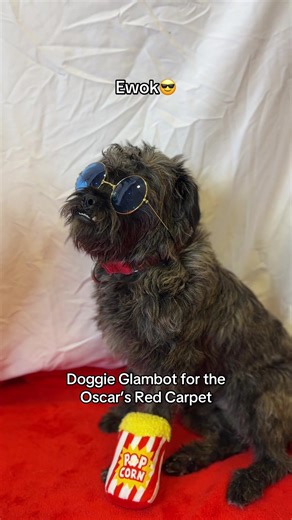 Did you see? Our adoptable dogs made it on the #oscars #academyawards Red Carpet today and even got to do their very own @E! Glambot ! 🏆❤️⭐️ Which pup’s Glambot was your favorite? 🤩 #glambot #redcarpet @Cole Walliser @E! News