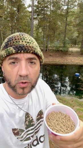 Fishy #fish #feed #minnows #pets #florida #honeyhole | Corey Benedict