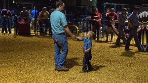 1.9K views · 39 reactions | Kids, Cows, Chickens, and Goats!! Our fair is hands-on fun for kids of all ages. | Wilson County Fair - TN State Fair | Facebook