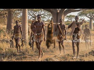 Hadzabe Tribe Hunting: Primitive Survival Skills & Traditional Life In The Deep Jungles Of Africa