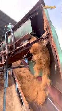 Coconut Coir Manufacturing From Scratch | Full Process