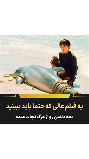‎sinema city سینما سیتی‎ on Instagram‎: "دلفین . Dolphin Tale 2011 :اسم فیلم"‎