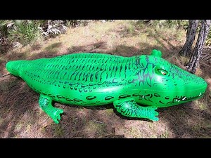 Huge Life Size 11-Foot Alligator Pool Float Inflation