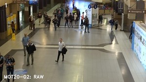 MOT Challenge - Visualize