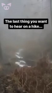 780K views · 22K reactions | Chilling Sound Pierces the Air. #Scary | Slapped Ham | Facebook