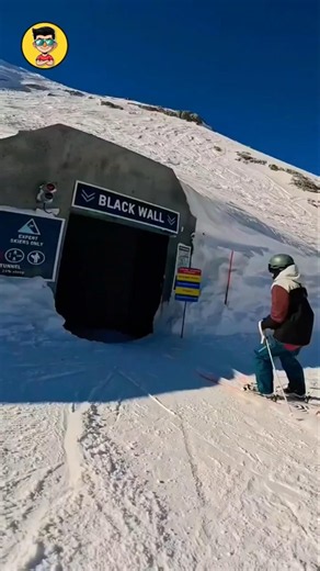 ❄️ Blackwall Glacier 3000 – A Frozen Wonder! 😍🇨🇭 #shorts #facts