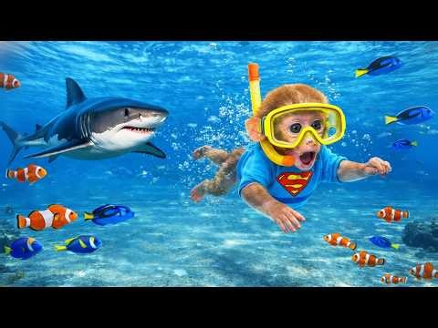 Affe JoJo hat einen Albtraum mit schwimmenden Haien und geheimnisvolles Abenteuer| JoJo und Freunde