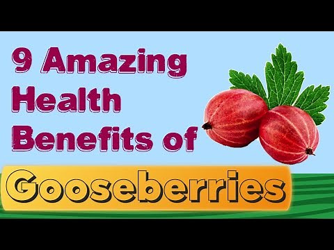 9 amazing health benefits of GOOSEBERRIES