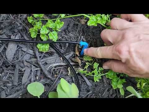 Review: JIYANG Solar Automatic Drip Irrigation Kit System