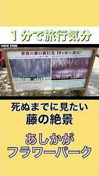 [A must-see at least once in your life] The wisteria at Ashikaga Flower Park is truly exceptional...
