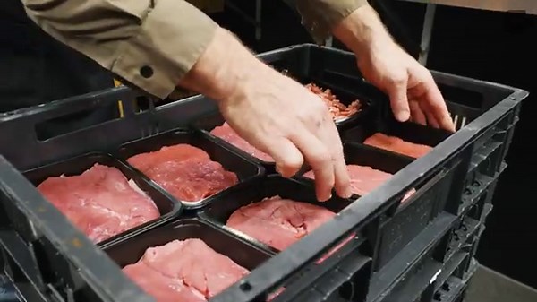 MULTIVAC T 255 Semi Automatic Compact Traysealer - Customer Video - Slagerij Markus - Netherlands