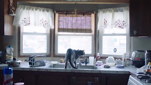 34K views · 988 reactions | Every Time I Die on Reels | Facebook