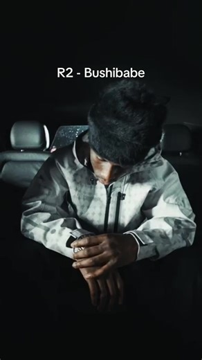 R2 - Bushibabe: New Rap Music Release