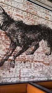 2.3K views | When locals collab, it's bound to be a good time Hollywood Casino teamed up with Wolf's Ridge Brewing to brew up the Lucky Bird Ale 列 A Tiki Amber Ale inspired by the tropical cocktail, Jungle Bird. On tap now at the Casino & Wolf's Ridge Brewery! Must be 21 or over to play. Gambling problem? Call 1-800-589-9966 | Hollywood Casino Columbus | Facebook