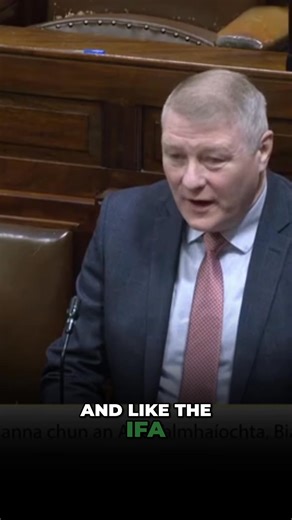 No Witch Hunts, Just Facts | VideoParliament Ireland