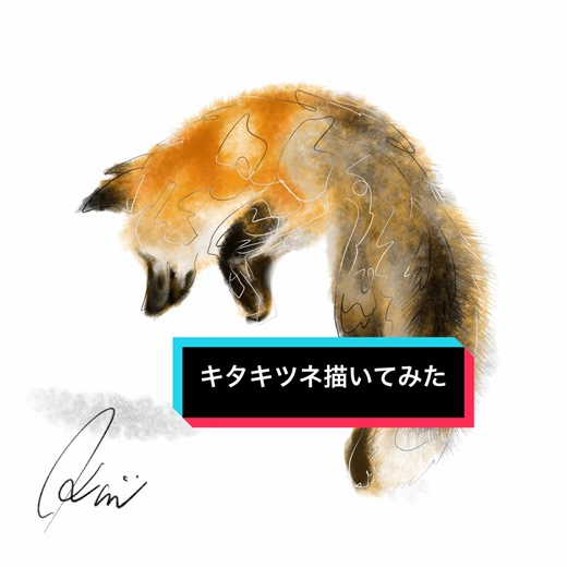 キタキツネ描いてみた🦊 投稿が遅くなりました🙏 キタキツネのメイキング動画になります☺︎ どんどん寒くなって来ましたが、今日も頑張っていきましょー🦊 #キタキツネ #狐 #🦊 #fox #redfox