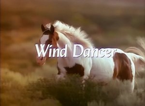 Wind Dancer - TRAILER