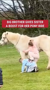 A loving big brother turned himself into a human stepping stool to help his little sister get onto a pony for a memorable ride. | Fox News