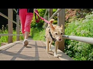 The Spire at Charminster Farm