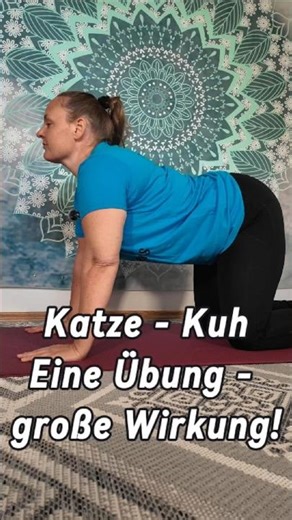 Katze Kuh Übung gegen Rückenschmerzen | Mobilisation für die Wirbelsäule #sanftesyoga