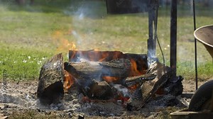 a pit master adds wood to a fire cooking a pig at a barbecue