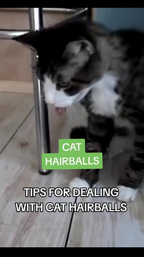 Yuck! Cat hairballs are such a problem! But worry not, we know how to help! 🌿💚 #cathealth #hairball #petsoftiktok #nhv #petsoftiktok #catsoftiktok