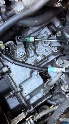 Reparación de Chicote en Ford Escape: Guía Rápida