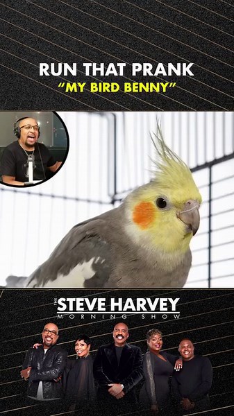 Devin threatens to eat "Chris'" bird, Benny 🦜 🤭 👀 😂 TO HEAR MORE PRANK CALLS, CHECK OUT OUR RUN THAT PRANK PODCAST & TAP 👉🏾 http://ihe.art/4YlcBlS | Steve Harvey FM