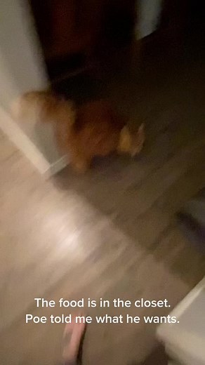 McKenna Rae on TikTok