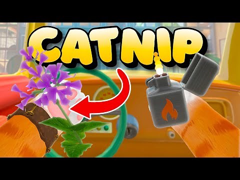 The Craziest Cat VR Experience Ever Made | I am Cat VR