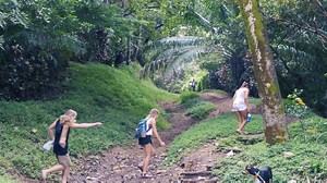 1.1K reactions · 155 shares | Take a look at the stunning natural beauty just a 15 minute walk from our campus! #costarica #love | The Costa Rica School of Massage Therapy | Facebook