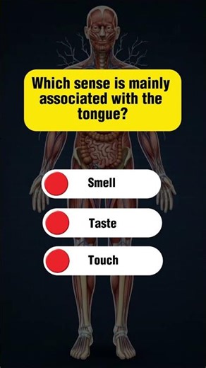 Human Body Quiz | Can You Get 5/5?