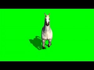 Horse Running Front View Green Screen-Free Green Screen Video