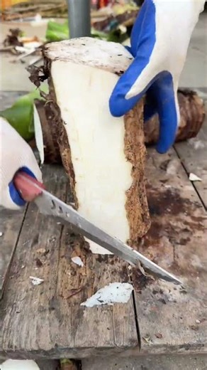 SMS 100012122176 Mini rotary tillage and ridging all in one tree 🌴